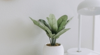 samantha-gades-761364-unsplash-400x532